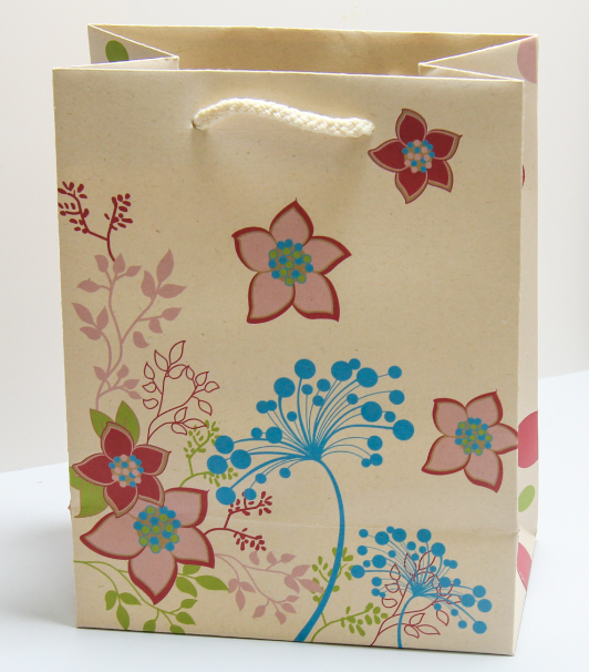 Sugarcane paper bag